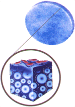 struktura filtru Microban�