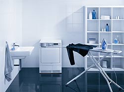 Su�i�ka AEG-Electrolux ProSteam Lavatherm 88800