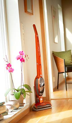 Vysava� Electrolux ErgoRapido