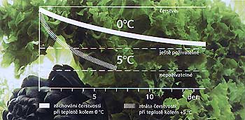 Orosen� chlazen�